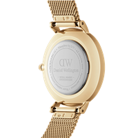 Orologio Daniel Wellington Donna Petite in Acciaio DW00100350 - DW00100350